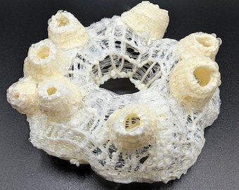 Broche escultórico de percebe - Arte 3D de gran tamaño dibujado a mano - Joyería llamativa