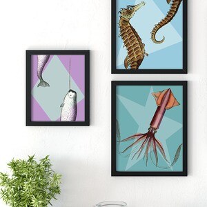 May include: Three framed art prints featuring sea creatures. One print shows a seahorse, another a narwhal, and the third a squid. The prints have black frames and are displayed against a white wall.