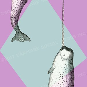 May include: Illustration of two narwhals, one complete and one partial, against a light blue diamond on a pink background. The narwhals are detailed with black lines and have a horn. The background is a soft pastel color.