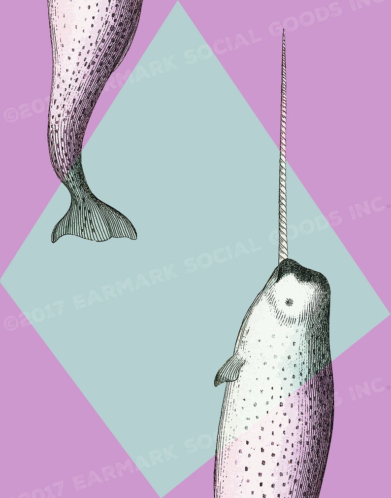 May include: Illustration of two narwhals, one complete and one partial, against a light blue diamond on a pink background. The narwhals are detailed with black lines and have a horn. The background is a soft pastel color.