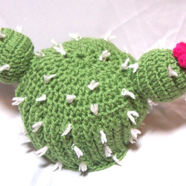 Cactus Hat with Pink Flowers Halloween cactus hat Baby Toddler Infant child Photo Prop Halloween costume plant free shipping