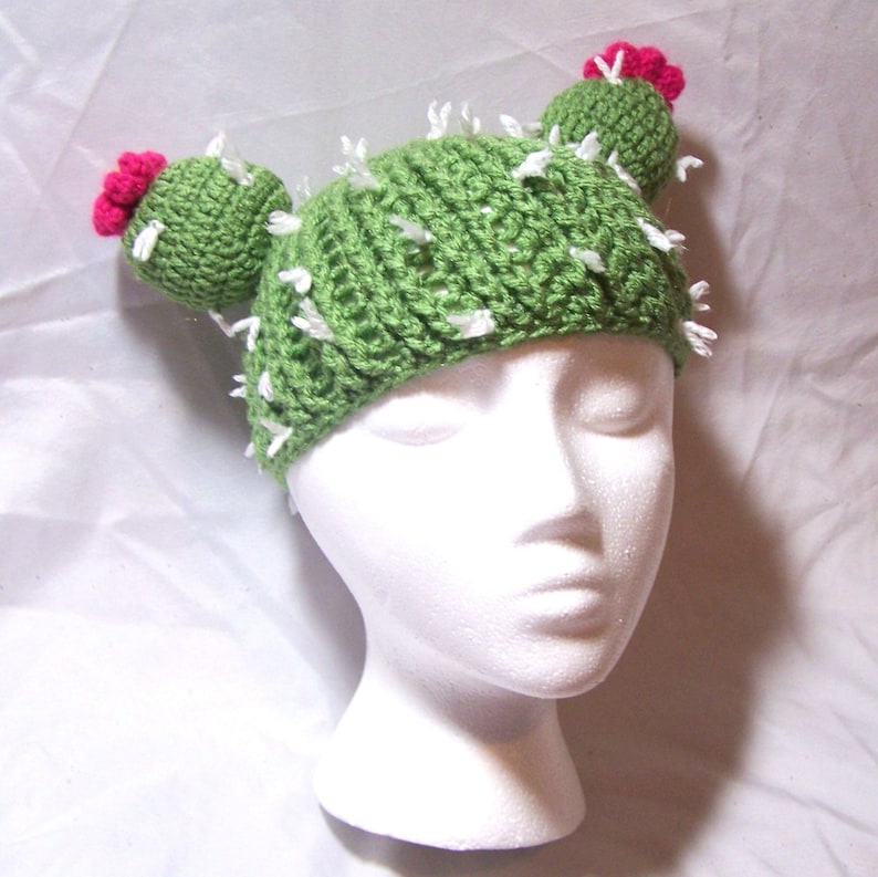 Cactus Hat With Pink Flowers And Needles Baby Toddler Infant Etsy cactus-hat-with-pink-flowers-and-needles-baby-toddler-infant-etsy