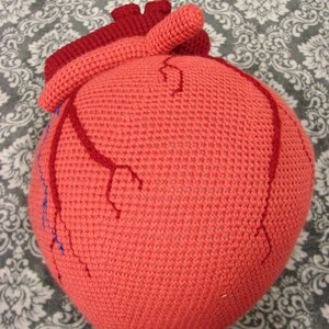 Extra Large Anatomical Human Heart crochet pattern PDF image 2