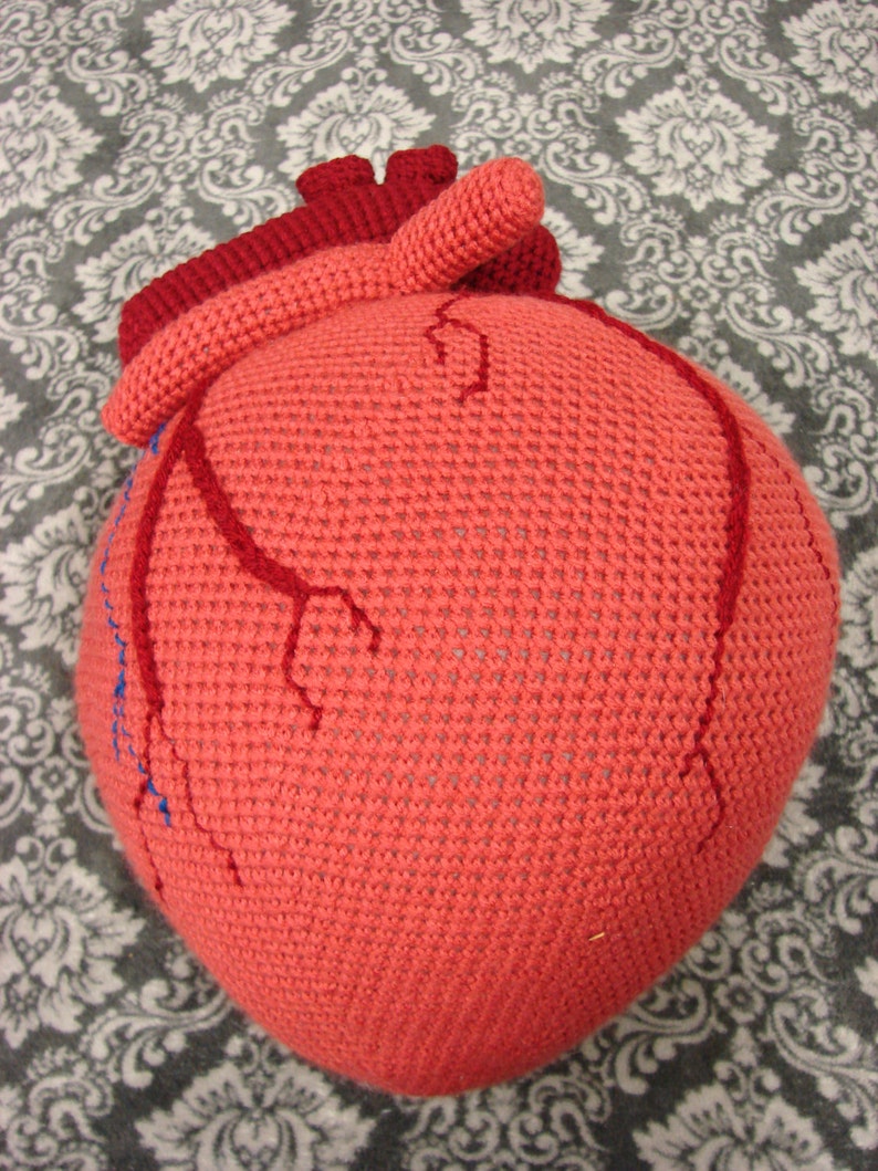 Extra Large Anatomical Human Heart crochet pattern PDF image 2