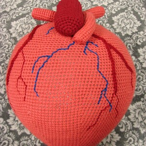 Extra Large Anatomical Human Heart crochet pattern PDF image 5