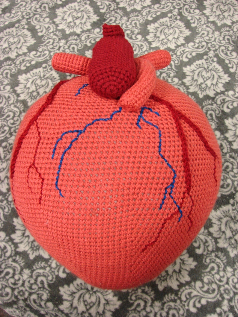 Extra Large Anatomical Human Heart crochet pattern PDF image 5