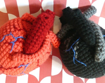 Anatomical Human Heart Crochet Pattern PDF