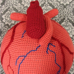 Extra Large Anatomical Human Heart crochet pattern PDF image 3