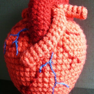Anatomical Human Heart Crochet Pattern PDF image 3