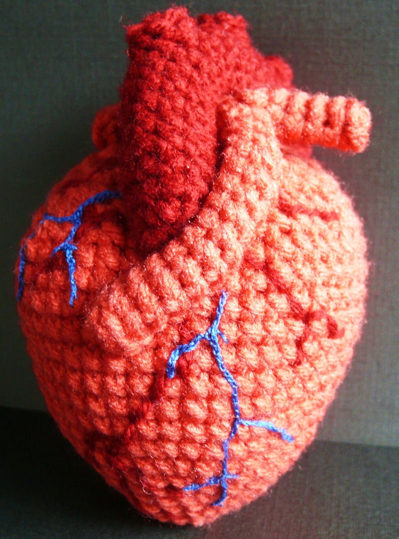 Anatomical Human Heart Crochet Pattern PDF image 3