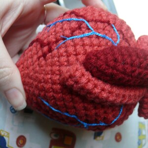 Anatomical Human Heart Crochet Pattern PDF image 2