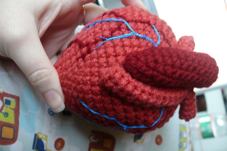 Anatomical Human Heart Crochet Pattern PDF image 2