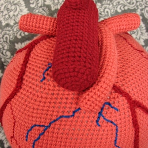Extra Large Anatomical Human Heart crochet pattern PDF
