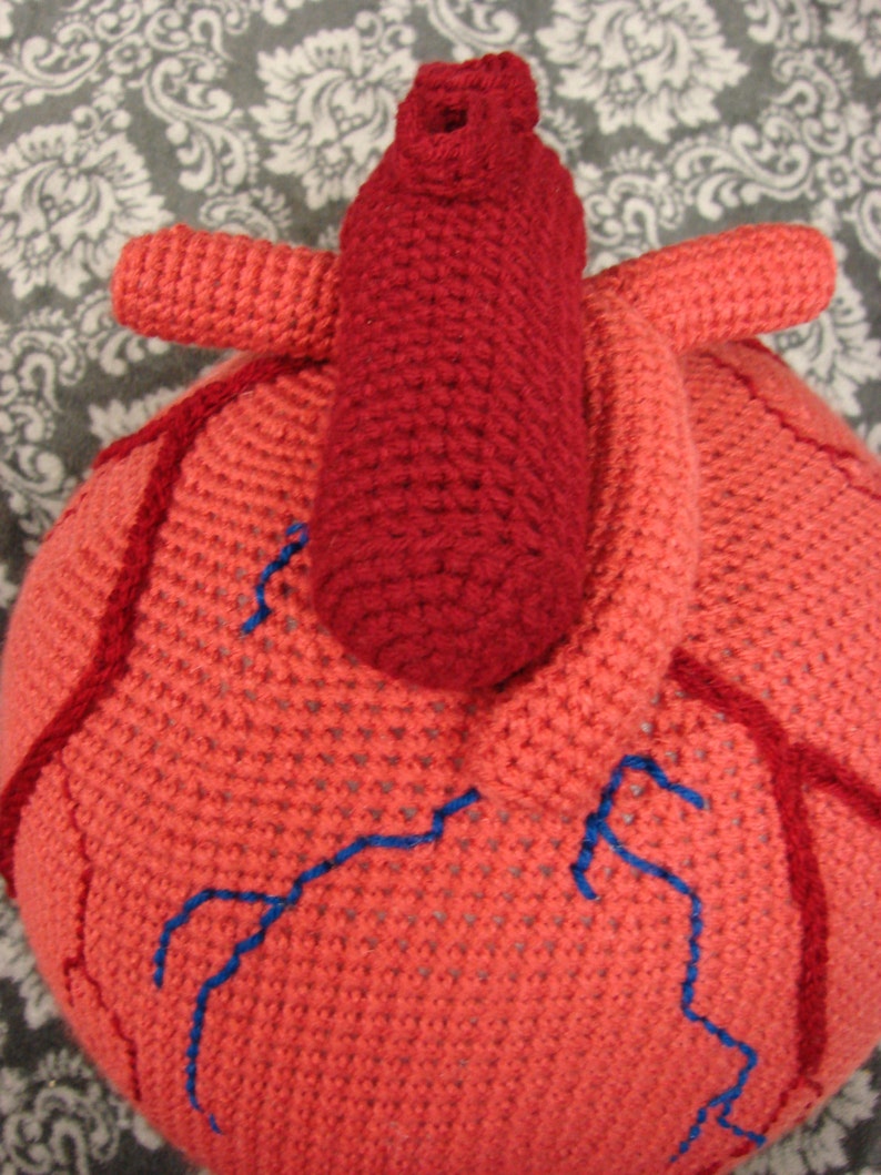 Extra Large Anatomical Human Heart crochet pattern PDF image 1