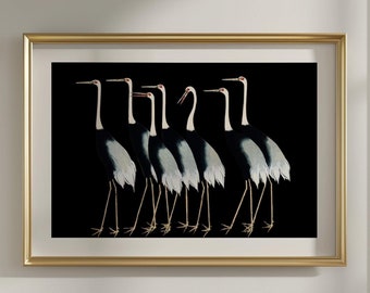 Japanese Cranes Print | Ogata Korin Print | Farmhouse Decor | Bird Watercolor | Black | Vintage Wall Art | Coastal Bird Print | Bird Lover