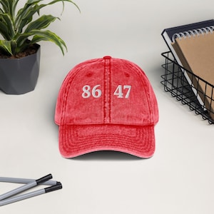 Embroidered Vintage Wash Dad Hat | Political Statement Cap | Democracy Supporter