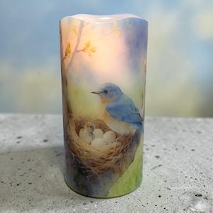 Blue Bird Nestlings Real Wax Flameless Candle, Spring Bird Family, built in timer, LED, Home Decor, 3"x6".