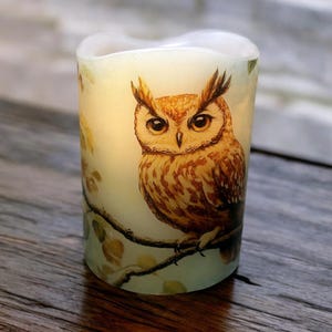 May include: A white pillar candle with a brown and white owl illustration. The owl is perched on a branch with leaves. The candle has a warm glow.
