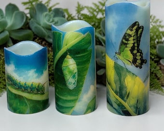 Caterpillar, chrysalis and butterfly, real wax flameless votive candles, , trio of candles in differing sizes, 2"x3", 2"x3.5", 2"x4".