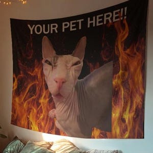 CUSTOM funny pet wall tapestry, personalized pet tapestry meme, custom dorm bedroom tapestry, funny animal wall decor personalized pet decor