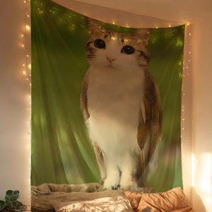 MEOWL meme room tapestry, meowl cat owl funny meme, funny dorm tapestry, meowl hanging wall tapestry, funny meowl wall decor, tiktok meme