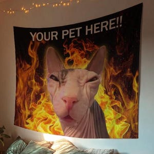 Puede incluir: Un tapiz de pared con un gato Sphynx con una expresión seria, sobre un fondo de llamas. El texto "YOUR PET HERE!!" está impreso encima del gato. El tapiz cuelga sobre una cama con almohadas.