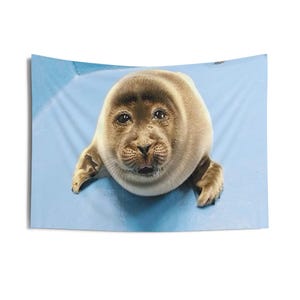 niko seal tapestry, silly seal hanging tapestry ocean decor baikal seal niko meme large tapestry, funny seal meme selkie seal sea wall decor image 4