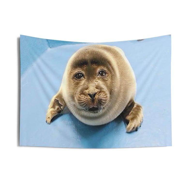 niko seal tapestry, silly seal hanging tapestry ocean decor baikal seal niko meme large tapestry, funny seal meme selkie seal sea wall decor image 4