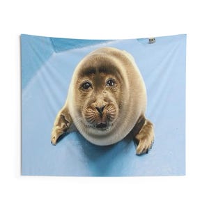 niko seal tapestry, silly seal hanging tapestry ocean decor baikal seal niko meme large tapestry, funny seal meme selkie seal sea wall decor image 5
