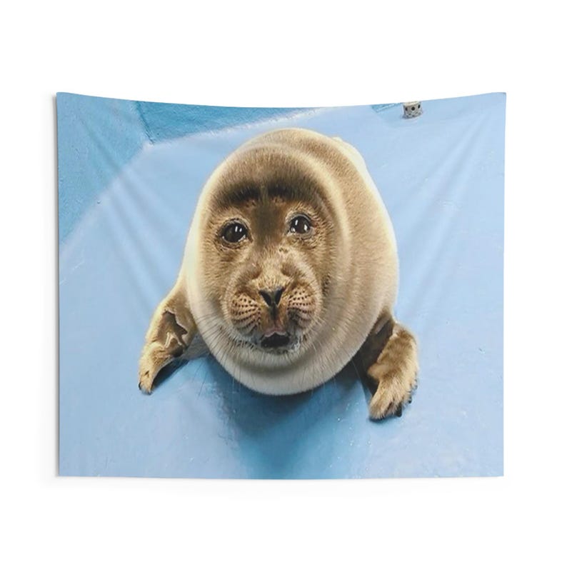 niko seal tapestry, silly seal hanging tapestry ocean decor baikal seal niko meme large tapestry, funny seal meme selkie seal sea wall decor image 5