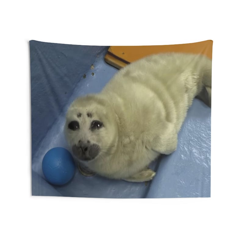 niko seal tapestry, silly seal hanging tapestry ocean decor baikal seal niko meme large tapestry, funny seal meme selkie seal sea wall decor image 6