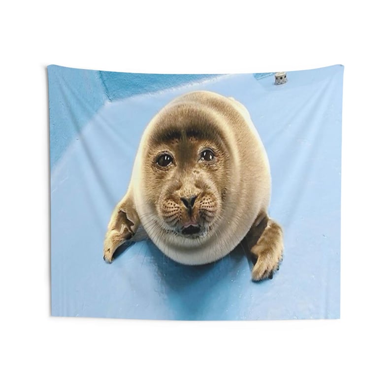 niko seal tapestry, silly seal hanging tapestry ocean decor baikal seal niko meme large tapestry, funny seal meme selkie seal sea wall decor image 6