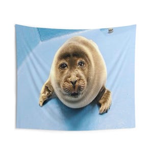 niko seal tapestry, silly seal hanging tapestry ocean decor baikal seal niko meme large tapestry, funny seal meme selkie seal sea wall decor image 3