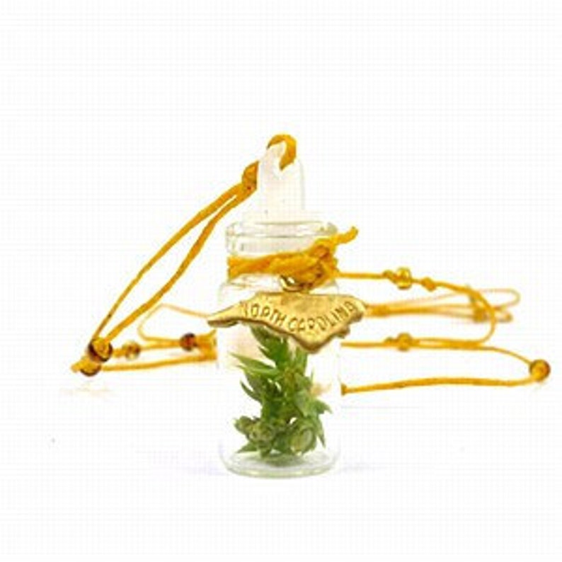 Florida Charm 12 pieces Gold Plated