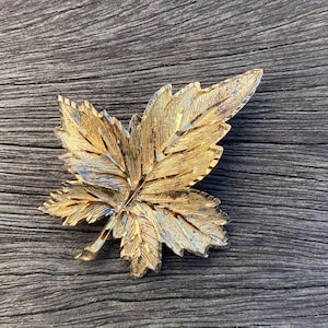 May include: A gold-coloured leaf-shaped brooch with detailed veining. The brooch has a textured surface and a pin clasp. The leaf design is a classic accessory, suitable for adding a touch of nature-inspired elegance to any outfit.