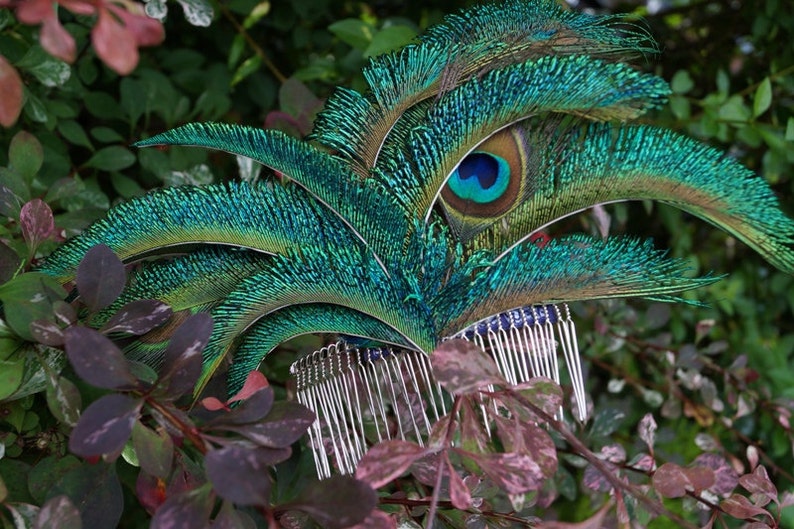 peacock eye wedding hair accessory bridal hair comb peacock feather cocktail fascinator Elegant peacock feather decorative hair comb