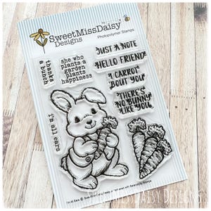 May include: Clear photopolymer stamp set featuring a bunny holding a carrot, with text including "Just a Note" and "Hello Friend." The set also includes carrot and flower designs. The brand name "Sweet Miss Daisy Designs" is visible.