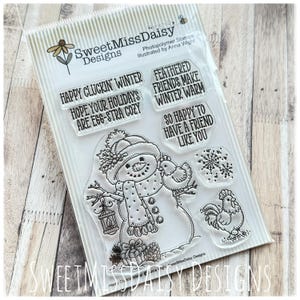 May include: Clear photopolymer stamps featuring a snowman with a scarf, holding a lantern and a bird. The set includes various winter-themed sentiments like "Happy Cluckin' Winter" and "Feathered Friends Make Winter Warm."