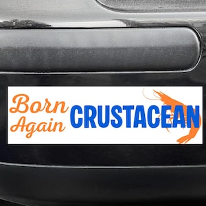 Born Again Crustacean Bumper Sticker - funny shrimp meme sticker - car decal weird