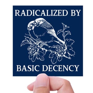 Radicalized by Basic Decency Car Bumper Sticker - Protest Sticker - FDT Sign - Human Rights Magnet - Anti Trump Liberal Sticker