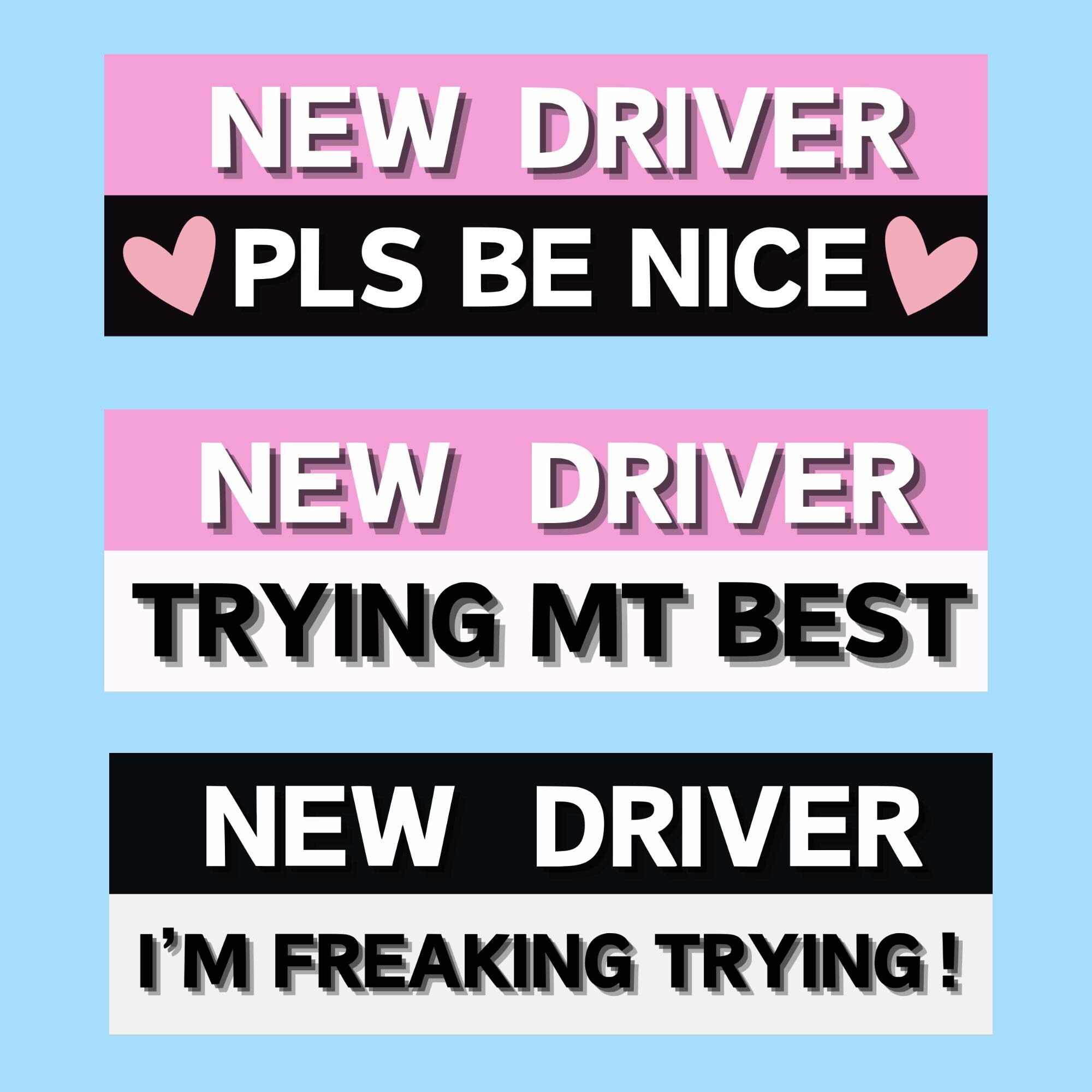 Icona D'avvertimento Divertente Della Sedia A Rotelle Del Segnale Stradale Che Guida Via Isolato - Foto 2