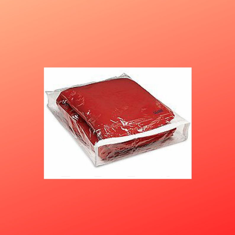 A plastic vinyl bag with a zipper that opens at the side to slip a light weight blanket or a few sweaters into.