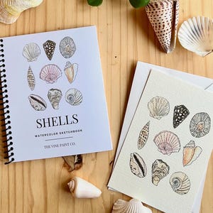 Muscheln Postkarte & Aquarell Arbeitsmappe