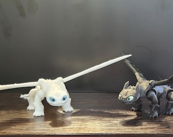 Toothless and The Light Fury