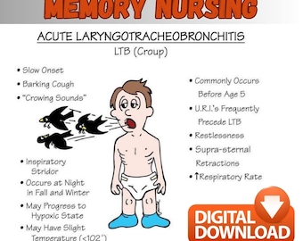 Libro de memoria para enfermería / Mnemotecnia ilustrada para exámenes y prácticas clínicas / 109 páginas / Descarga en PDF