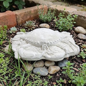 May include: A detailed, off-white crab statue resting on a bed of small rocks and greenery. The crab sculpture is the focal point, with its textured surface and intricate details. The setting is an outdoor garden.
