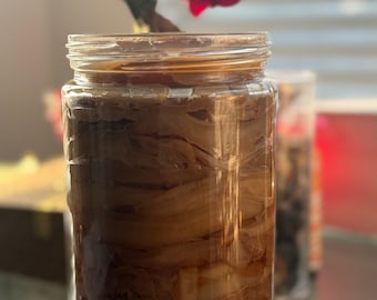 Kombucha SCOBY pellicle + strong starter tea