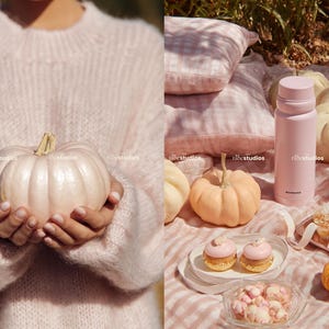 Puede incluir: Una colecci&oacute;n de calabazas, pasteles y una botella de agua rosa dispuestas sobre una manta de cuadros rosas. Una persona sostiene una calabaza rosa p&aacute;lido. La escena evoca un picnic oto&ntilde;al con una paleta de colores pastel.