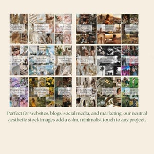 K&ouml;nnte beinhalten: Eine Collage aus Bildern mit verschiedenen Themen, darunter Natur, Reisen und Lifestyle. Die Bilder sind in einem Raster angeordnet und jedes Bild hat einen Text&uuml;berlagerung mit den W&ouml;rtern "Collection" und einem Farbnamen. Der Text "Perfekt f&uuml;r Websites, Blogs, Social Media und Marketing. Unsere neutralen &auml;sthetischen Stockbilder verleihen jedem Projekt eine ruhige, minimalistische Note." befindet sich am unteren Rand der Collage.