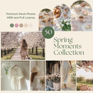 Foto stock di primavera Foto di stile di vita primaverile estetiche Copertina di Instagram Reel Foto a tema primaverile Foto MRR PLR Foto di stagione primaverile Foto estive